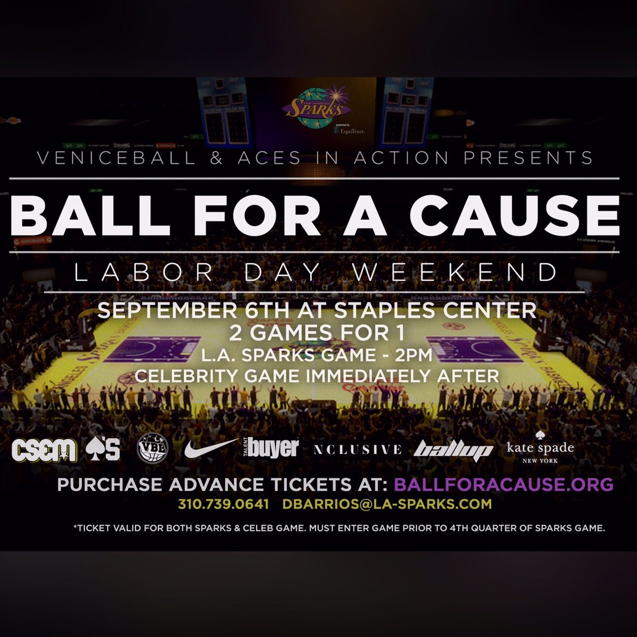 BALL FOR A CAUSE CELEBRITY GAME